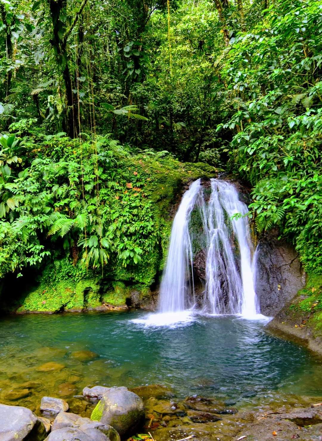 Cascade aux ecrevisses