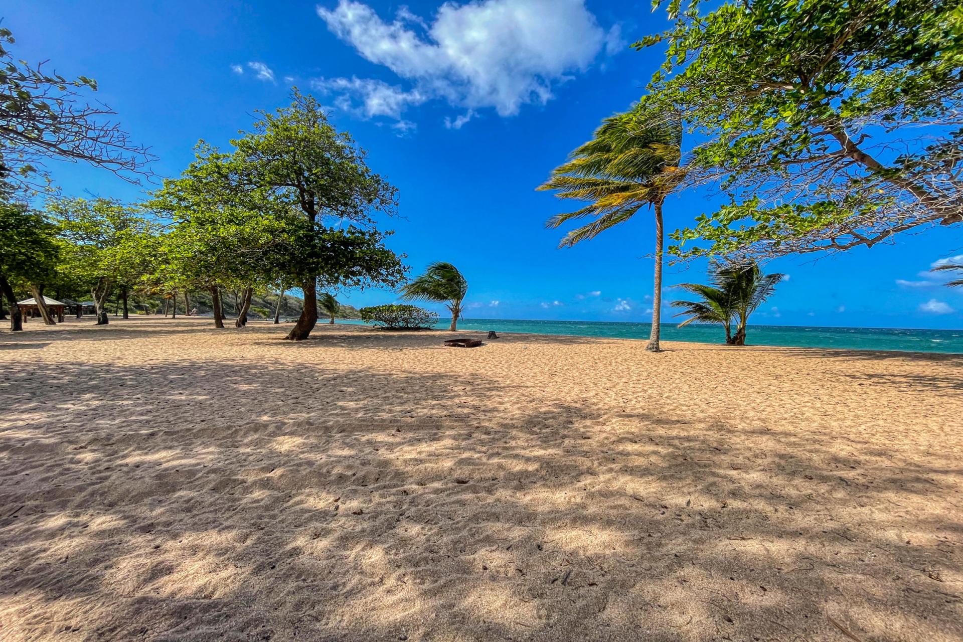 Plage-des-Amandiers