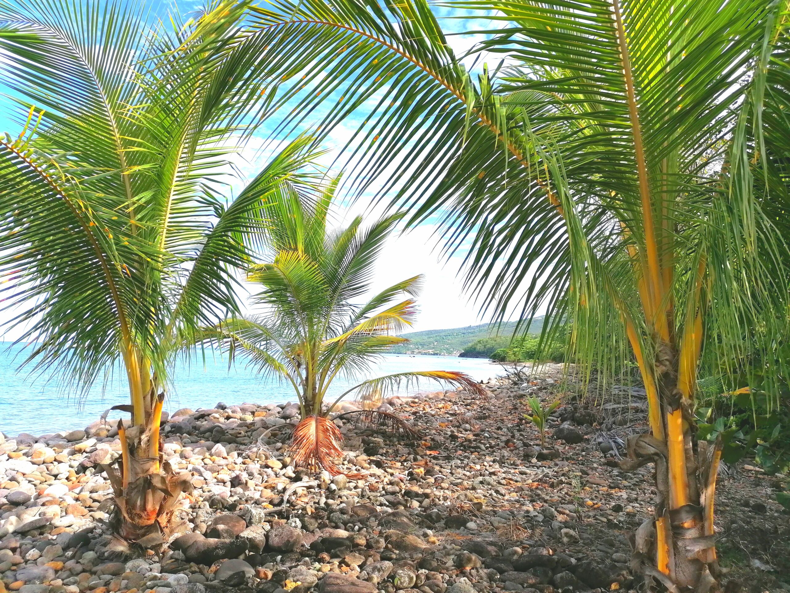 plage paradis de la guadeloupe