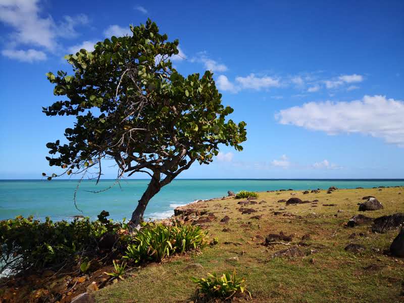 plage sainte rose